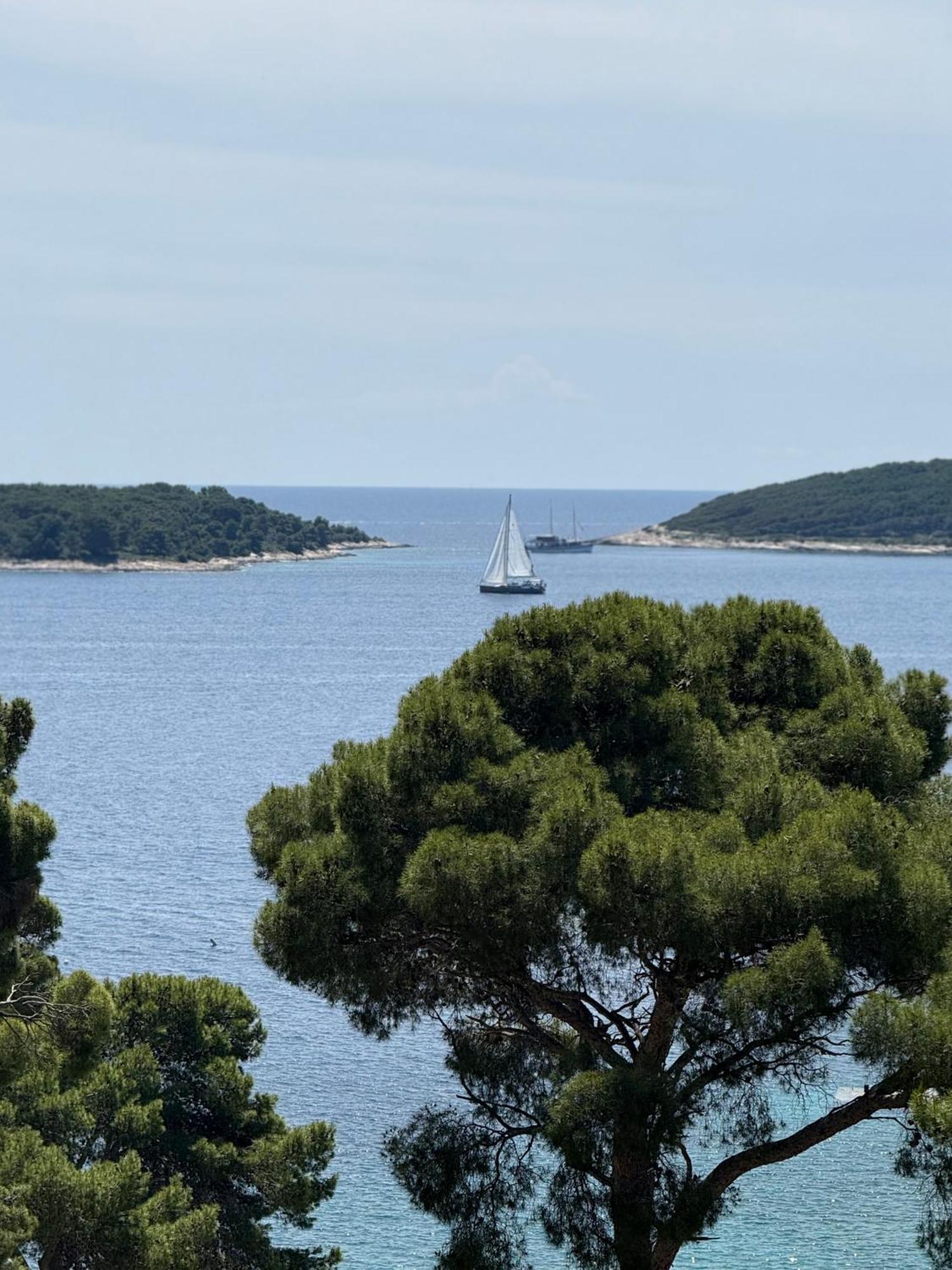 Apartments Villa Dinka Hvar Town Eksteriør billede